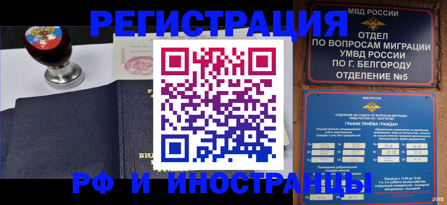 временная регистрация поиск в Елизово